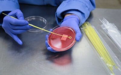 Can We Test This With That? Evaluating Food Microbiology Method Validation Needs