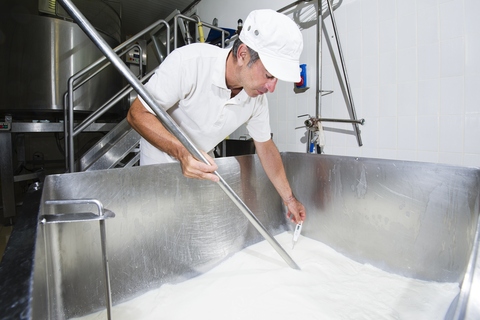 Cheesemaker measuring temperature using thermometer 
