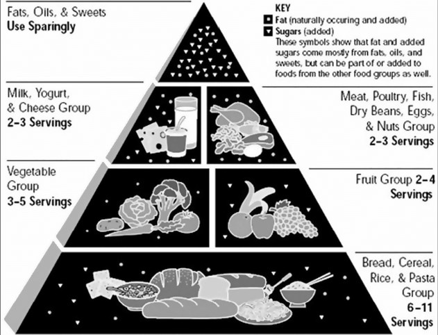 USDA Food Pyramid 