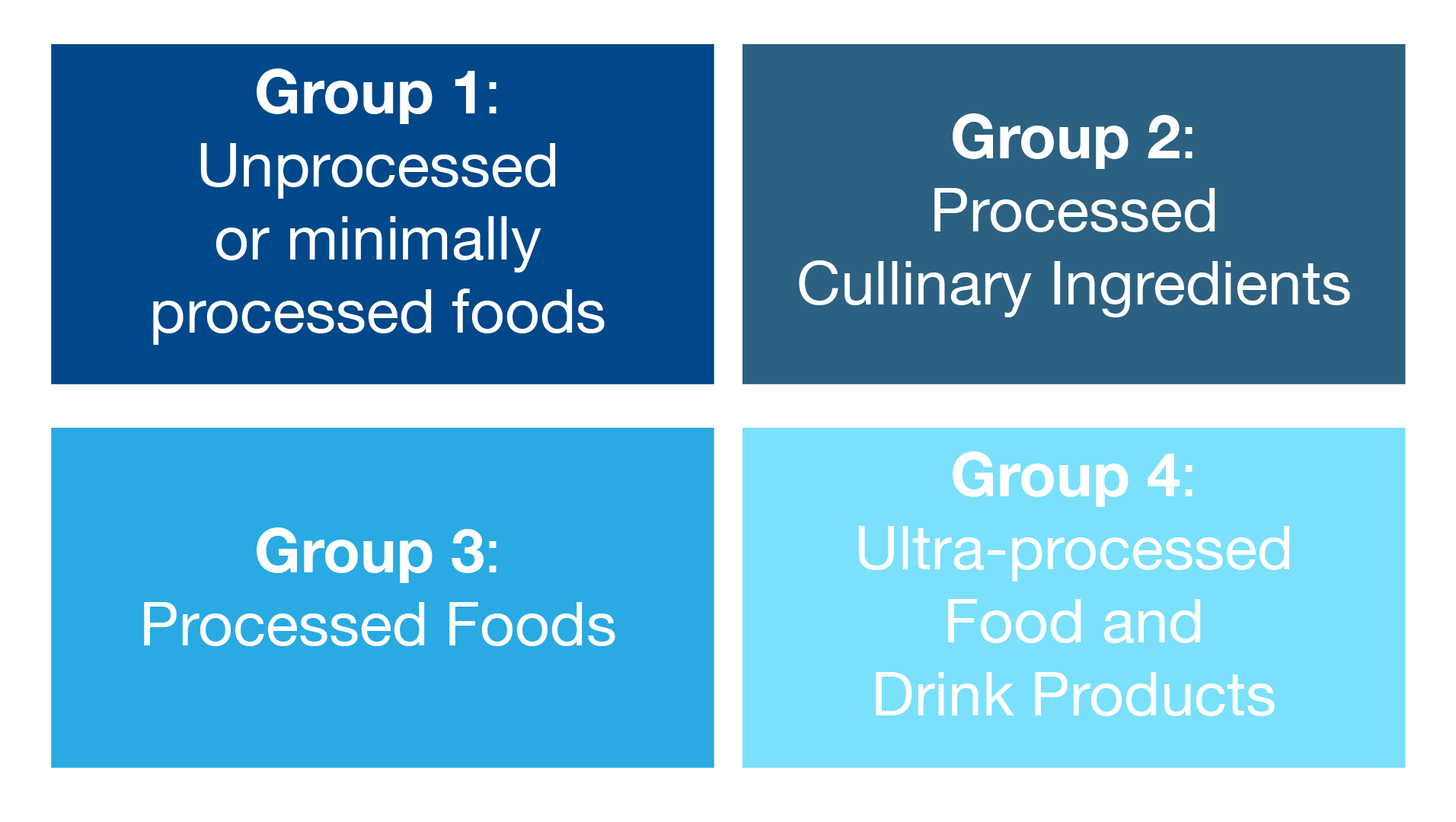NOVA Food Classification System