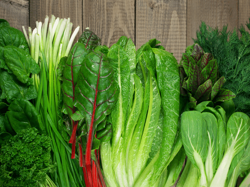 Assorted leafy greens ready for produce lab testing.