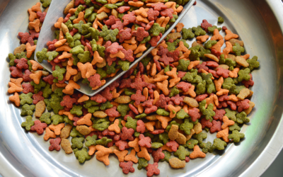 Pet Food Label Modernization: How it Affects Pet Food Manufacturers 