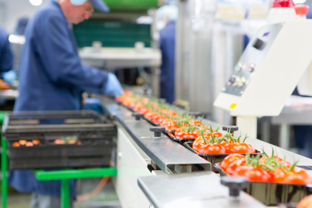 Worker on tomato packaging line in food facility.  