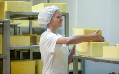 How to Prepare for a GMP Audit in the Food Industry