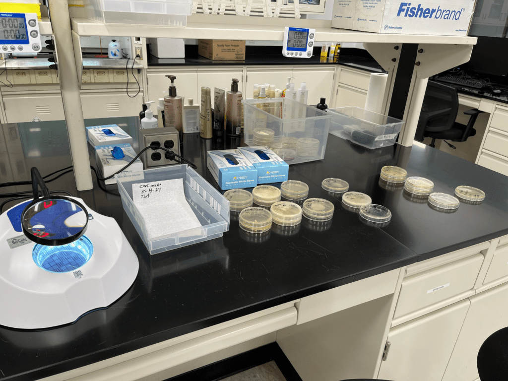 Settle plates used for air sampling in food manufacturing environments. 