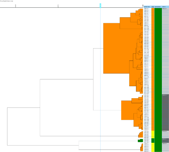 Cluster information for Listeria strain typing of sliced deli meat. 