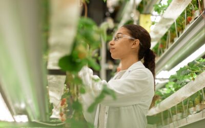 Creating Novel Foods? Know the Microbiological Safety Risks