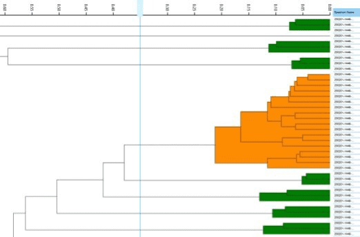 Dendrogram depicting the relatedness of different microbial strains. 