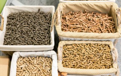 Safe Feed/Safe Food Version 8: Key Changes for Certified Feed Facilities